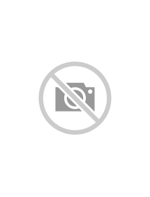 Anvelopa IARNA GRENLANDER LSNOW 96 205/55R16 91H 